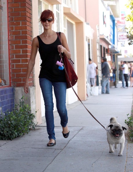 Jessica Alba cũng chăm chỉ đưa cún cưng đi dạo ở West Hollywood, CA.